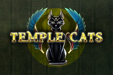 Templecats играть в Лофт Казино